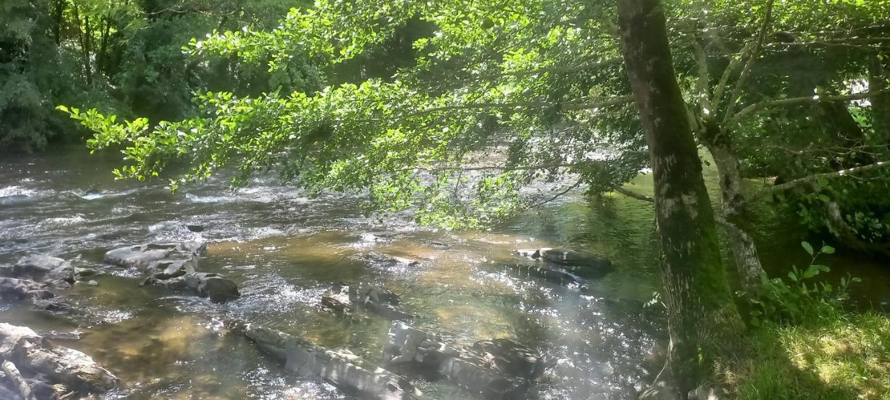 Les Berges Du Cele Ξενοδοχείο Bagnac Εξωτερικό φωτογραφία